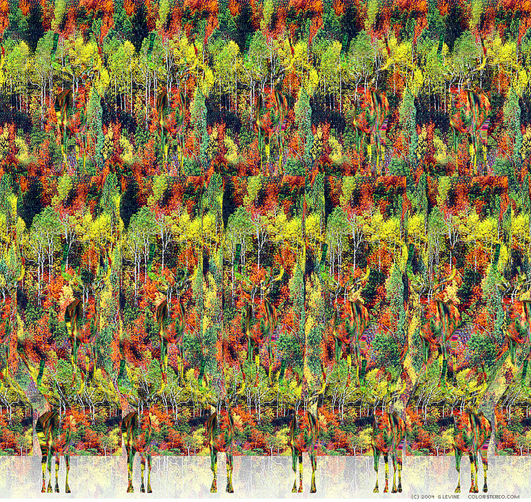 stereogram