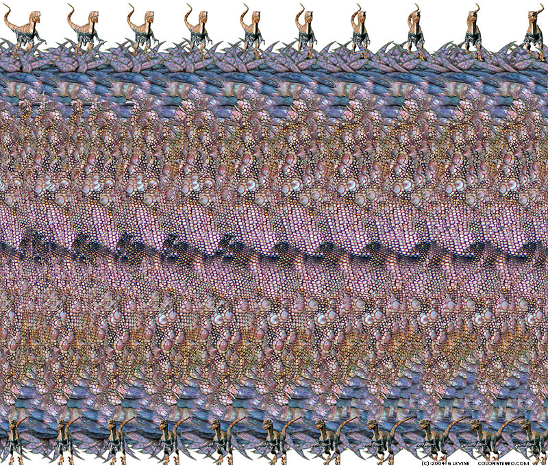 stereogram