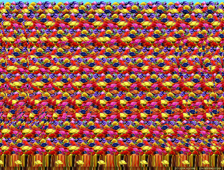 stereogram