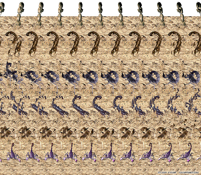 stereogram