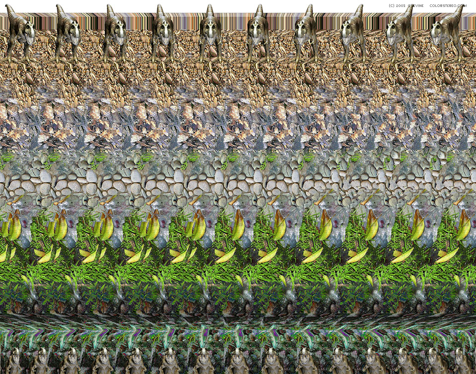 stereogram