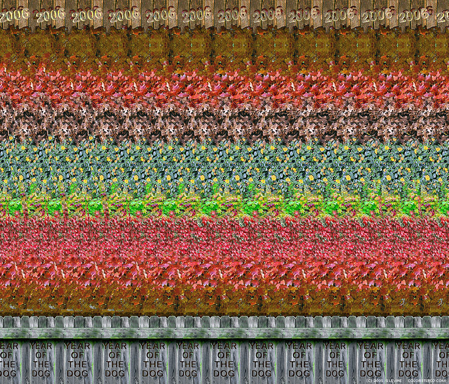 stereogram