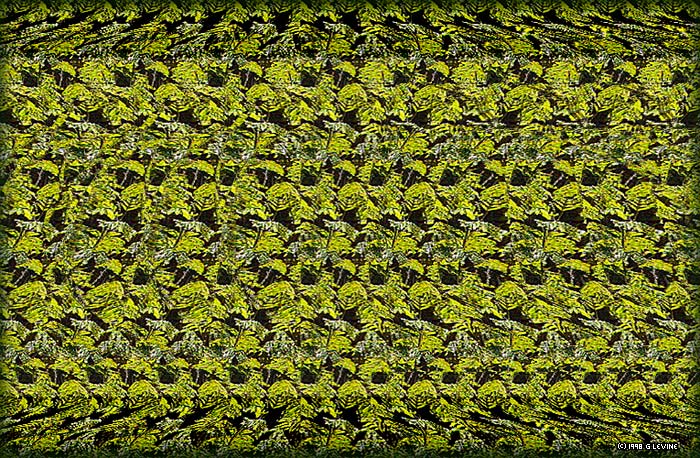 stereogram