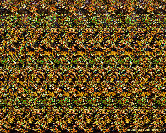 stereogram