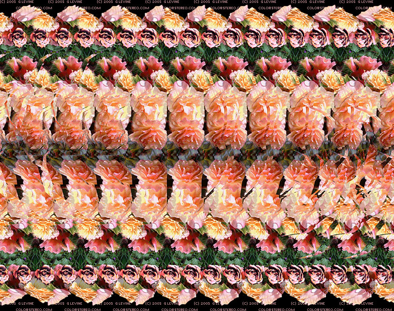 stereogram