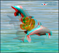 18-dolphin-chrome_g-levine.jpg
