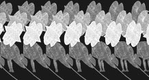 Stereogram Reveal