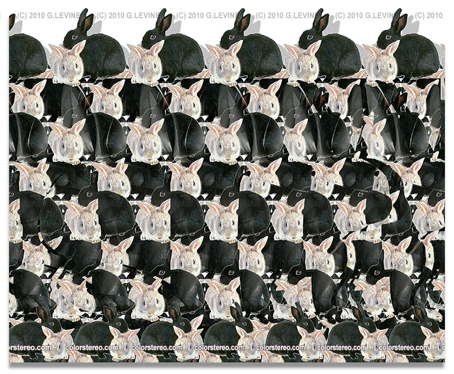 checkers_g-levine.jpg