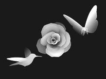 Stereogram Reveal