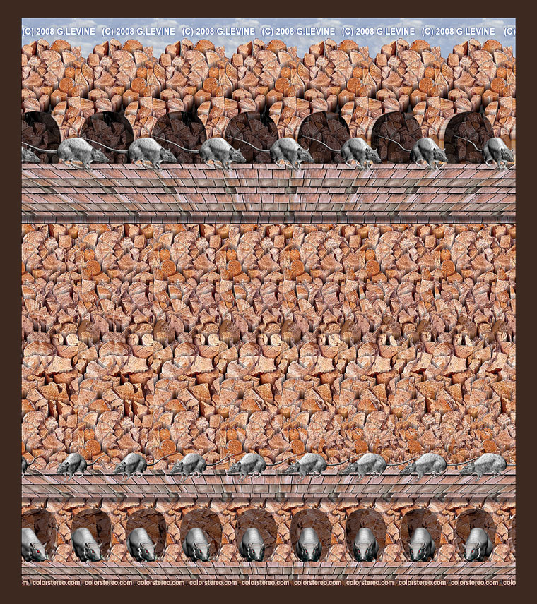 rat-hotel_g-levine.jpg