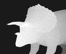 Stereogram Reveal