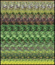 crane-2007_g-levine.jpg