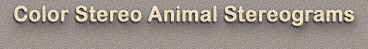 The Color Stereo Animal themed stereogram gallery