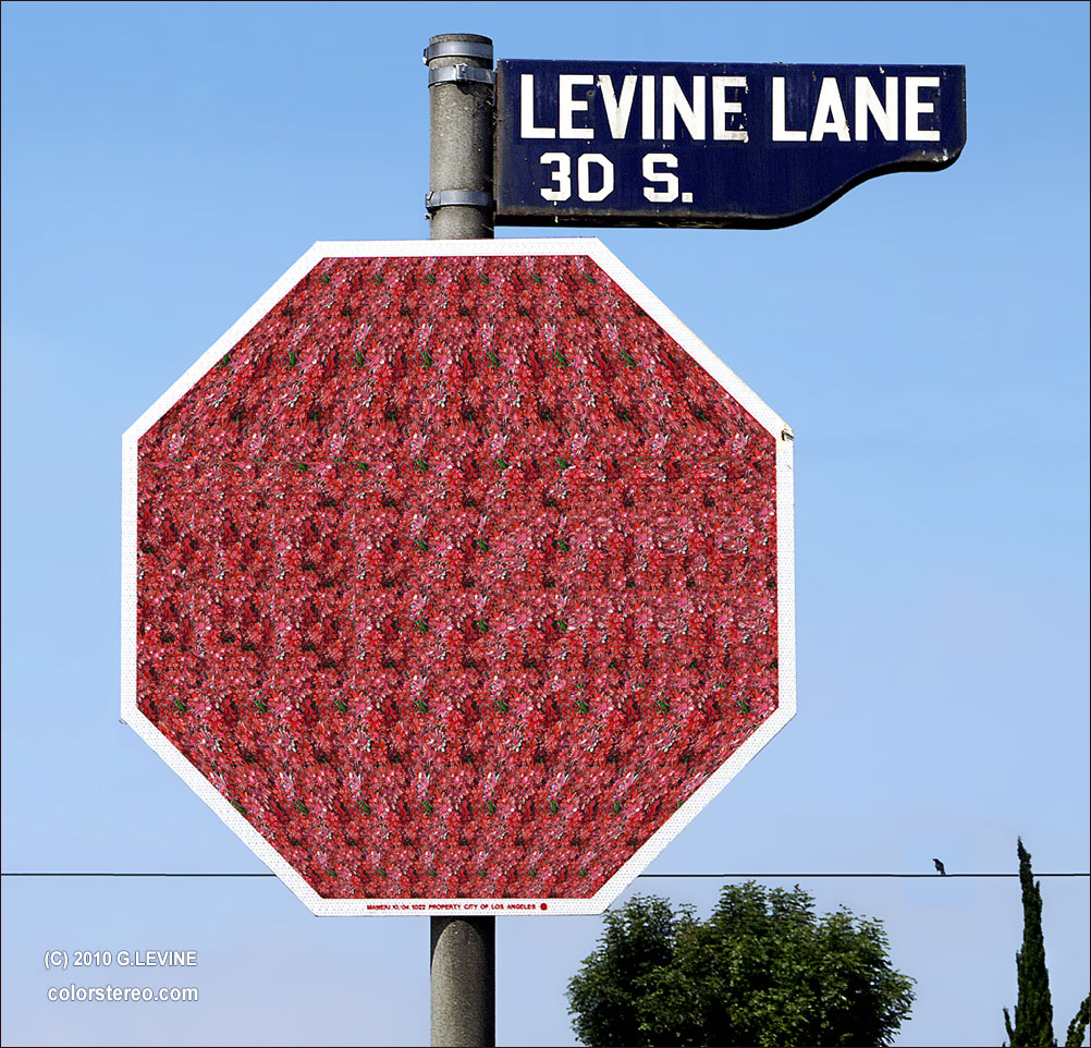 stop_g-levine.jpg