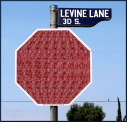 stop_g-levine.jpg