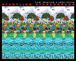 Startling Stereograms Bok