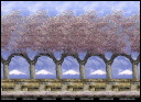 21-sakura-grove-.jpg